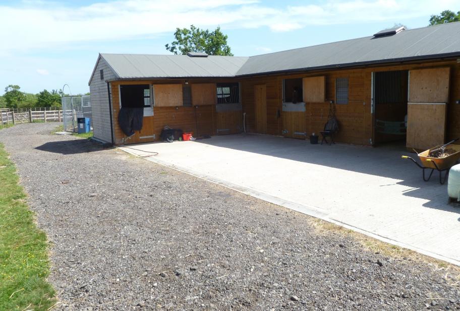lucy_stable